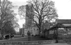 20110312_4 Ely cathedral, Engeland