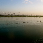 20150131 Voorlopig is het water nog niet gezakt