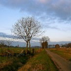 20150214 Kerktoren van Winssen onder het boogje