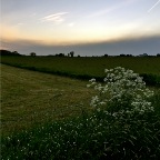 20150517 De avond valt over het Fluitenkruid