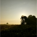 20150821 Zie de zon schijnt door de bomen