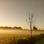 20151002 Het mistseizoen is weer aangebroken