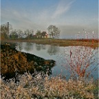 20140112 Een rode struik aan het halfbevroren water