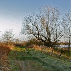 20140202 Prachtige ochtend op het berijpte pad bij Deest aan de Waal