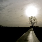 20140315 Het heeft vanacht geregend, de ochtend is fris.