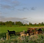 20140414 Het zwarte schaap