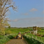 20140419 Het waterboertje is er weer