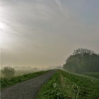 20140424 Een heiïg zicht op de dijk bij Winssen