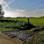 20140530 Na regen komt zonneschijn