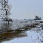 20101219 Hoog water Waal, Winssen