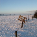 20101226 Winterlandschap uiterwaarden, Winssen