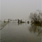 20110121 Hoogwater, Winssen