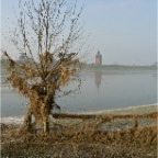 20110129 Getuige van hoog water in uiterwaarden, Winssen