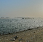 20110129 Schip op de Waal, Winssen