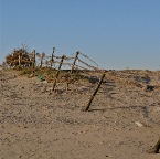 20110307 Hek op strand langs Waal, Winssen