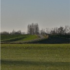 20110307 Uiterwaarden, Winssen