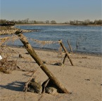 20110308_2 Waalkrib, Winssen