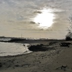 20110310 Waalstrand, Winssen