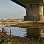 20110327_1 Onder de brug bij Ewijk