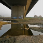 20110329 Onder de brug bij Ewijk