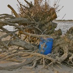 20110329 Stronk en blauw blik aan de Waal bij Winssen