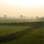 20110330 Ochtendwandeling