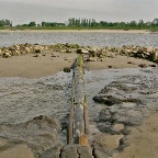 20110514 Oude mast zichtbaar bij laag water, Waal bij Winssen