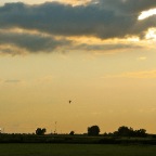 20110611 Luchtballon boven Deest