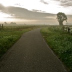 20110825 Het licht weerspiegelt op de hekken