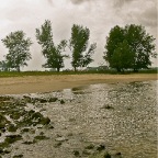 20110831 De bomen nemen afstand van elkaar