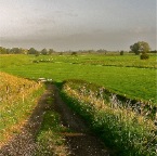 20110913 Het einde van de zomer nadert