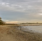 20111104 Herfst op het Waalstrand