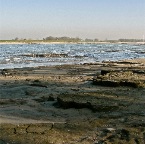 20111114 OnWaals landschap door uitzonderlijk laag water