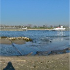 20111114 Twee keer dezelfde boot