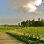 20110914 Zonnige uiterwaard