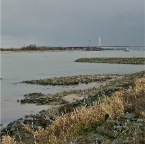 20111204 Verdord gras op de kribben