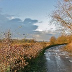 20111210 Uitbundige herfst