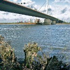 20111212 De oude brug en de nieuwe fundamenten