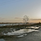 20111217 Boom in het water