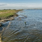 20111219 Het water neemt het land weer in beslag