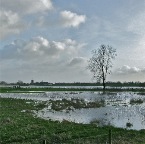 20120106 Een heel ander landschap