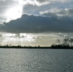 20120106 Zwarte vogelsilouetten tegen een ontploffende hemel