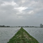 20120108 De zomerdijk