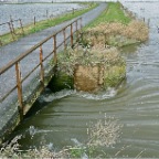 20120110 Het water kolkt de uiterwaarden in