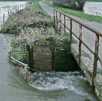 20120111 En toch is het water alweer aan het zakken