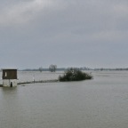 20120112 Aan de overkant van de zee ligt Dodewaard