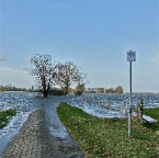 20120113 Het water spreidt zich als vingers over het land