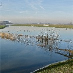 20120117 Het lijkt allemaal in de lucht te zweven