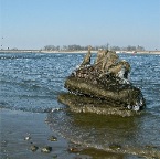 20120210 Mont St. Michel