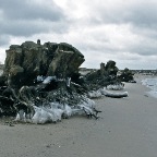 20120214 Stronken strompelen over het strand